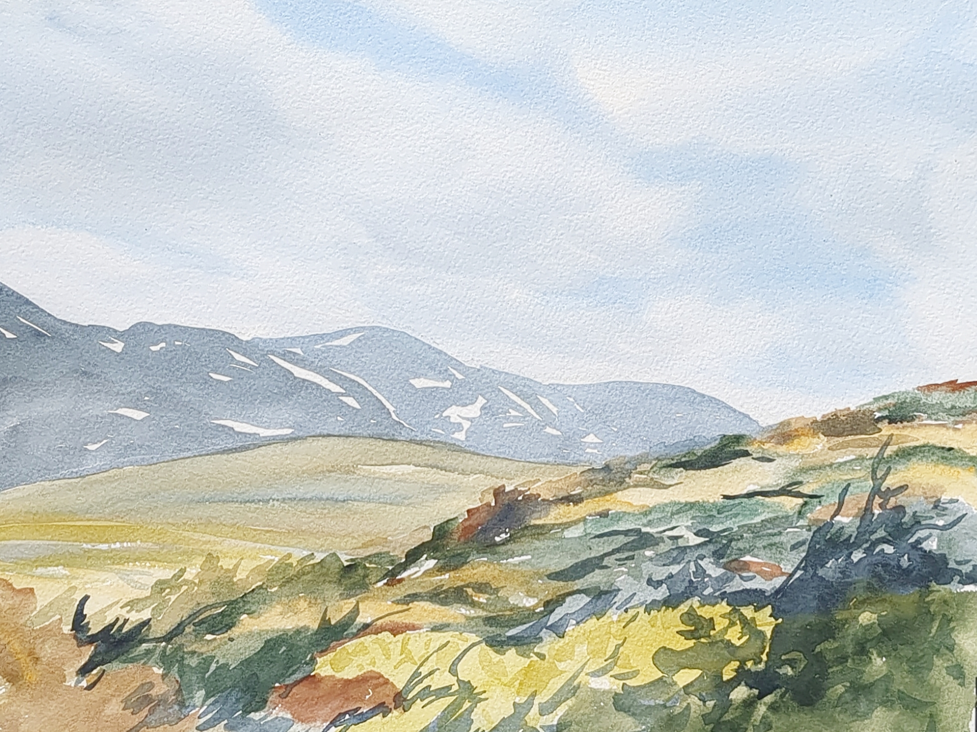 Groundscape